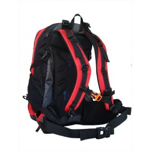 568 back-650x650